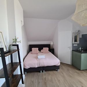 Deluxe Kamer met een King Size Bed